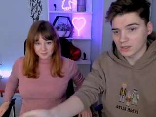 niri-vex webcam model stream image