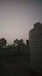 Neerajnk webcam model stream image