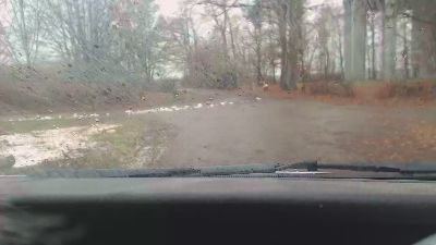 sissy7436 webcam model stream image