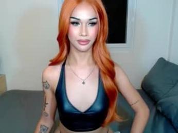 horsecockmadison webcam model stream image