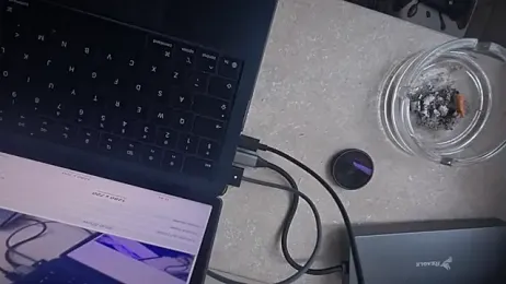 TigerOne19 webcam model stream image