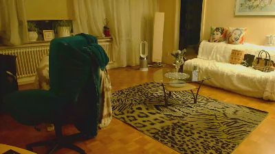 tscaprice webcam model stream image