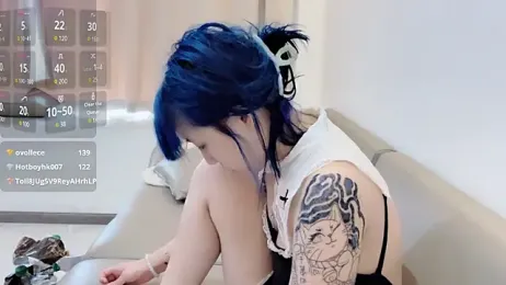 vi-vi-11 webcam model stream image