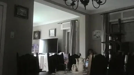 edje59a webcam model stream image