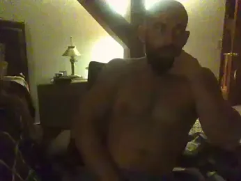 shyguytry1991 webcam model stream image