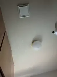 shyguytry1991 webcam model stream image