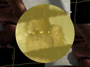 seilyfox webcam model stream image