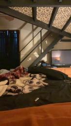 saraangelafern1 webcam model stream image