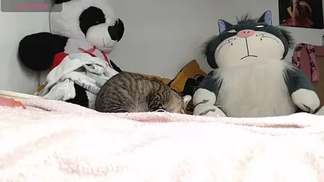 minene_mikami webcam model stream image