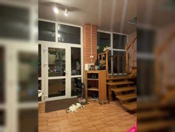 altertyan webcam model stream image