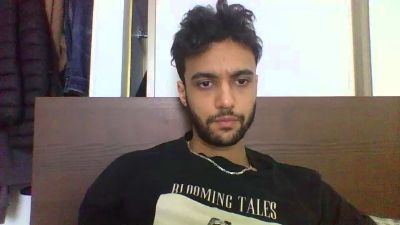 steveerpi1 webcam model stream image