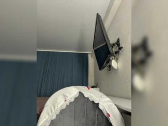 Narrri webcam model stream image