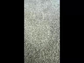 joshsharp1111 webcam model stream image