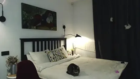 winter__sun webcam model stream image