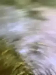 Adina_Skaly webcam model stream image