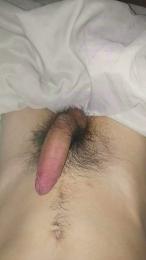 maul0 webcam model stream image