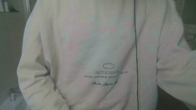 T_immo webcam model stream image