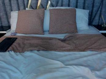 CloheBell webcam model stream image