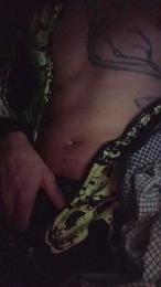 bcnxl2 webcam model stream image