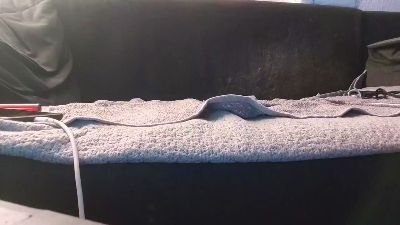 ElHase webcam model stream image