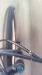 gutig_14 webcam cam4 model stream image