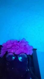 karamelo11 webcam cam4 model stream image