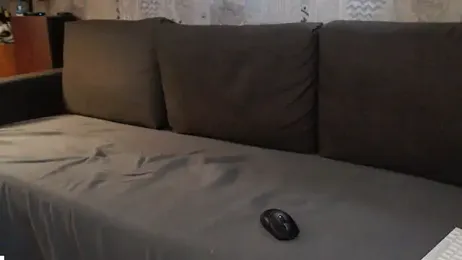 Student_Oliver webcam model stream image