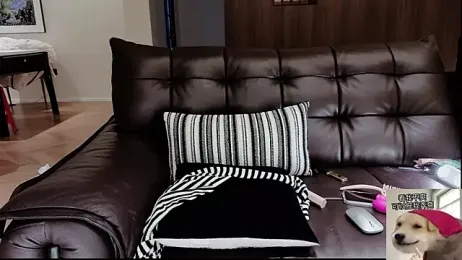 -Aricia- webcam stripchat model stream image