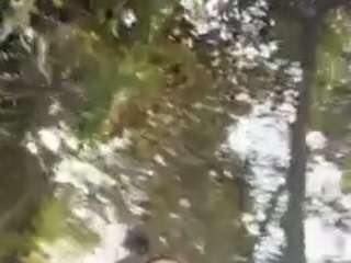 gabyferrer webcam model stream image