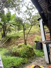 Ell_gomxxxz webcam stripchat model stream image