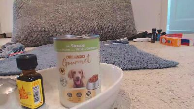 kinkyfaggotfun webcam model stream image