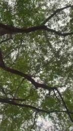 Outdoorsd webcam cam4 model stream image