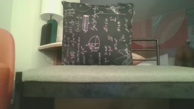 BoriSteelSmooth webcam model stream image