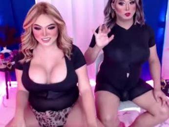 10incheskinkynastytrans webcam model stream image