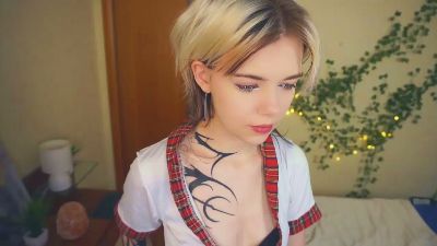 AftonFountain webcam model stream image