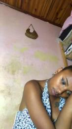 Armella2 webcam model stream image