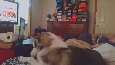 overmydaddbody webcam model stream image