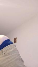 la_biscotte_du1 webcam cam4 model stream image