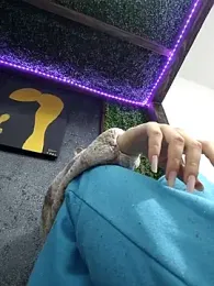 pleasure_of_life webcam stripchat model stream image