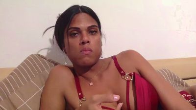 SamTRANS webcam model stream image