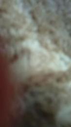 isabelpalomino3 webcam cam4 model stream image