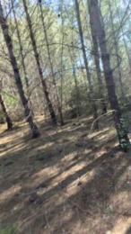 Morbo131 webcam cam4 model stream image