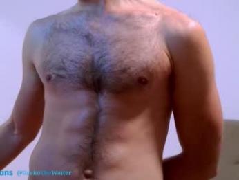 thewaiter2025 webcam model stream image