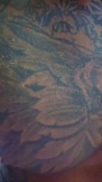 Nicolas_1988 webcam model stream image