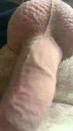 Pigzag webcam model stream image