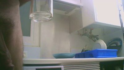 pollagordac webcam model stream image