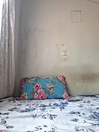 novinhatransexy webcam model stream image