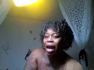 stalliontheesavage webcam model stream image