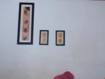 ebanoymarfil2 webcam model stream image