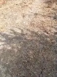 Ajith_mvi webcam model stream image